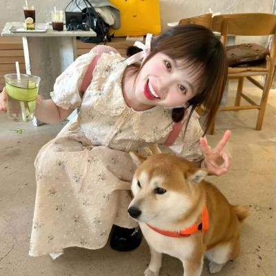 小淘气尼古拉：快乐的源头
